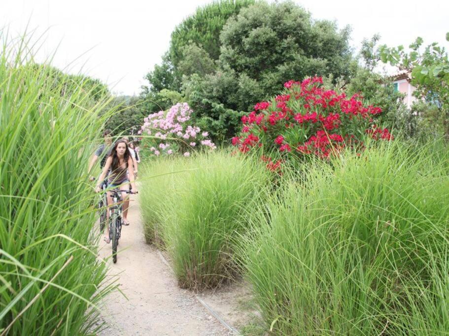 Les Restanques Bougainvillee 2051 Grimaud Luaran gambar