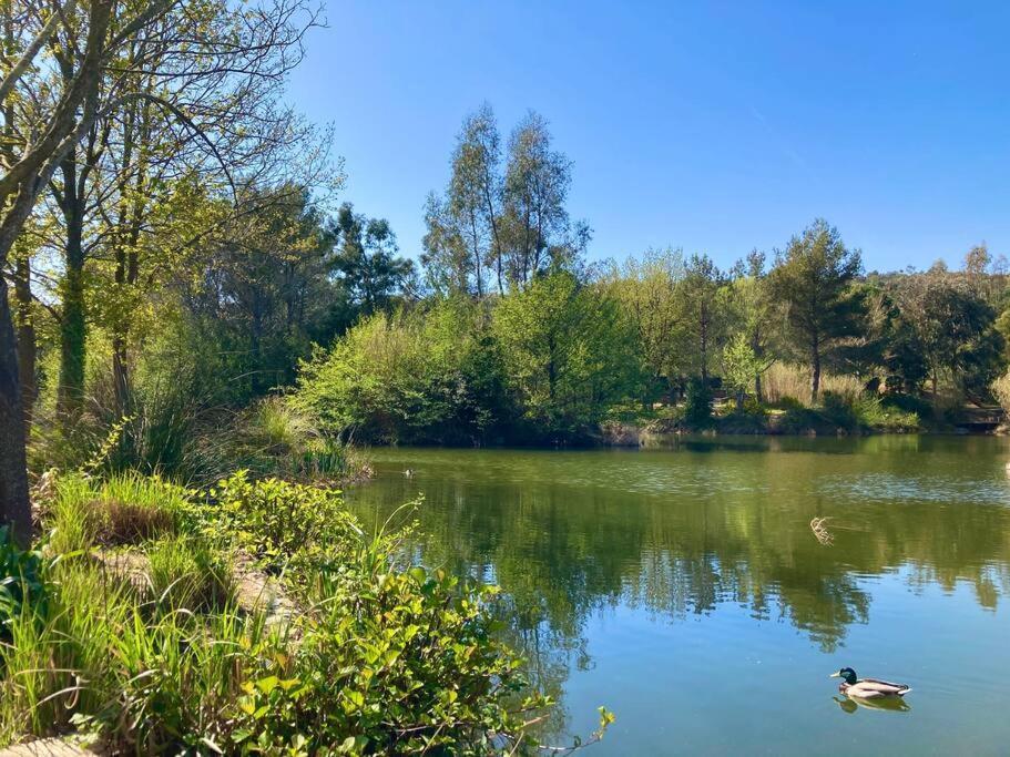 Les Restanques Bougainvillee 2051 Grimaud Luaran gambar